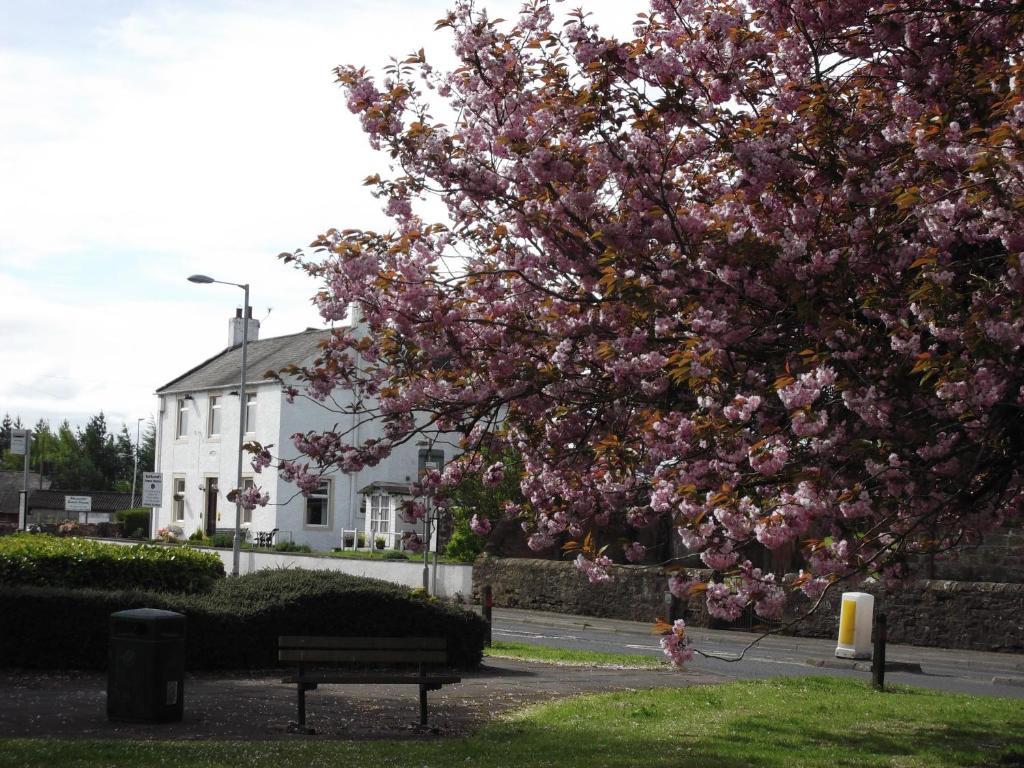 Kirkcroft Guest House Гретна Екстериор снимка